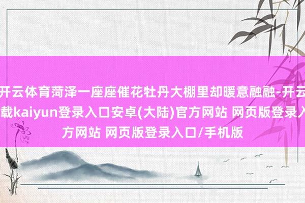 开云体育菏泽一座座催花牡丹大棚里却暖意融融-开云app官网下载kaiyun登录入口安卓(大陆)官方网站 网页版登录入口/手机版