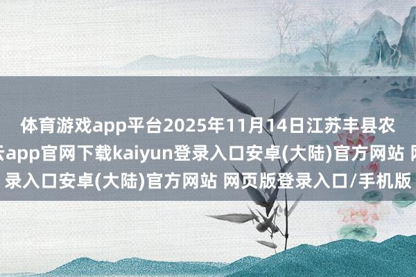体育游戏app平台2025年11月14日江苏丰县农业农村局价钱行情-开云app官网下载kaiyun登录入口安卓(大陆)官方网站 网页版登录入口/手机版