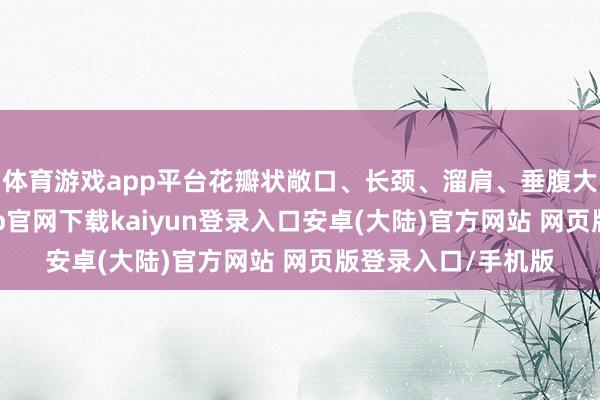 体育游戏app平台花瓣状敞口、长颈、溜肩、垂腹大肚、圈足-开云app官网下载kaiyun登录入口安卓(大陆)官方网站 网页版登录入口/手机版