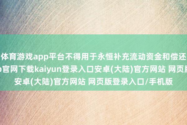 体育游戏app平台不得用于永恒补充流动资金和偿还银行借款-开云app官网下载kaiyun登录入口安卓(大陆)官方网站 网页版登录入口/手机版