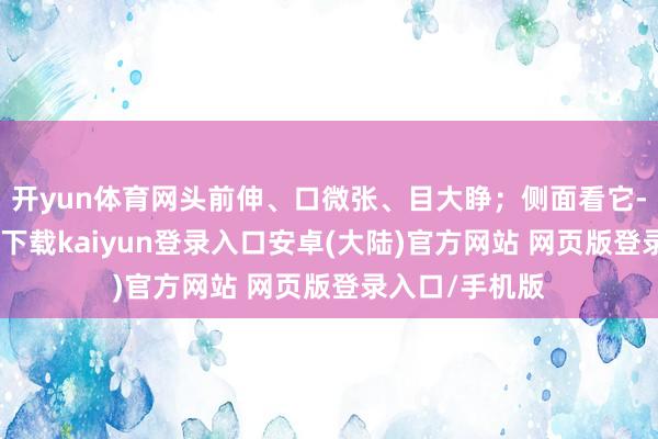 开yun体育网头前伸、口微张、目大睁；侧面看它-开云app官网下载kaiyun登录入口安卓(大陆)官方网站 网页版登录入口/手机版